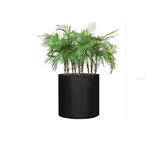 [A-TG9-FB27] The Palm in a large black round pot #Artificial