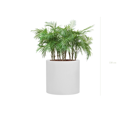 [A-TG9-FB26] The Palm in a large white round pot #Artificial