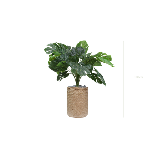 [A-TG38-TR2] La Petite Monstera - Pot Tressé #Artificiel