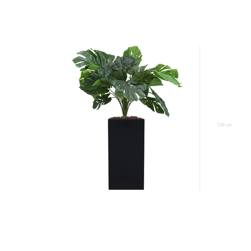 [A-TG38-FB19] La Petite Monstera - Cube Haut Noir #Artificiel