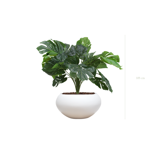 [A-TG38-FB14] La Petite Monstera - Pot Ovale Blanc #Artificiel