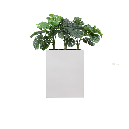 [A-TG38-FB1] The small Monstera M. white Divider #Artificial