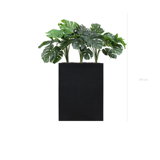 [A-TG38-FB2] The small Monstera  M. black divider #Artificial
