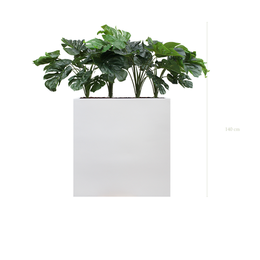 [A-TG38-FB3] The Small Monstera  L. White Divider #Artificial