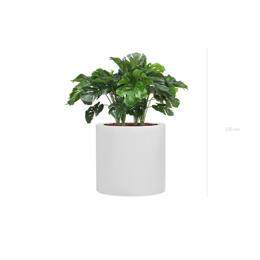 [A-TG38-FB26] Jardinière Petite Monstera - Cylindre Blanc #Artificiel