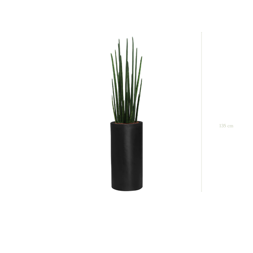 [A-PT12-FB17] Die Sansevieria – Schwarzer Hochzylinder #Künstlich