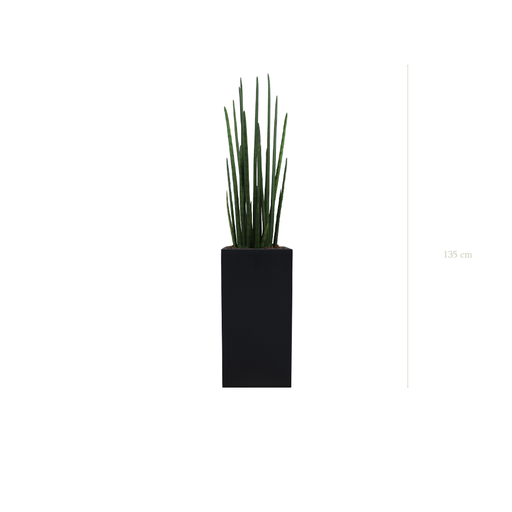 [A-PT12-FB19] Le Sansevieria - Cube Haut Noir #Artificiel