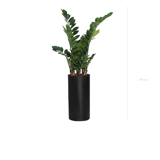 [A-PT15-FB17] The Zamia in a black cylinder pot #Artificial