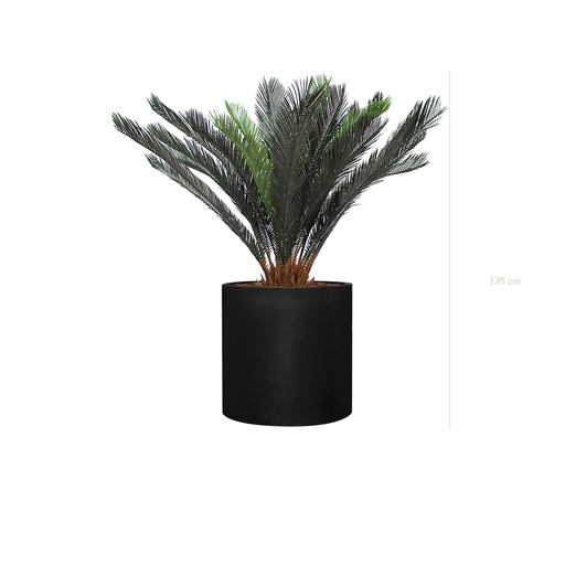 [A-PT14-FB25] Le Cycas - Cylindre Noir #Artificiel