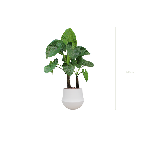[A-PT4-CE2] Le Grand Alocasia - Pot Rond Blanc #Artificiel