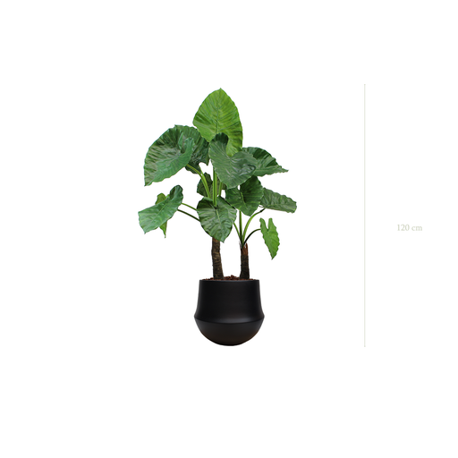 [A-PT4-CE10] Le Grand Alocasia - Pot Rond Noir #Artificiel
