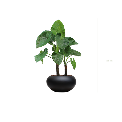 [A-PT4-FB13] Le Grand Alocasia - Pot Ovale Noir #Artificiel
