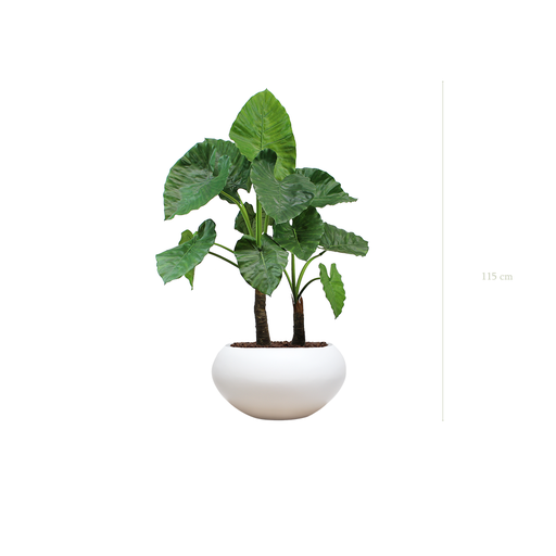 [A-PT4-FB14] Le Grand Alocasia - Pot Ovale Blanc #Artificiel