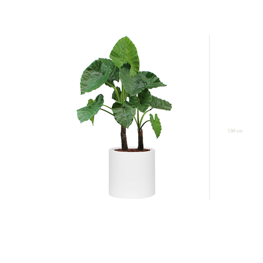 [A-PT4-FB22] The Large Alocasia in a white cylinder pot #Artificial