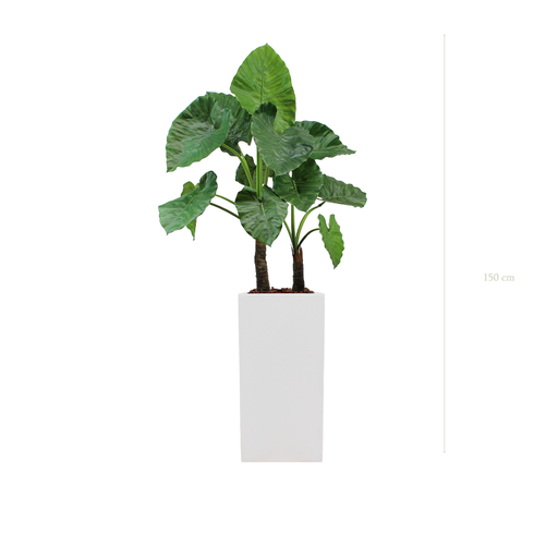 [A-PT4-FB20] Le Grand Alocasia - Cube Haut Blanc #Artificiel