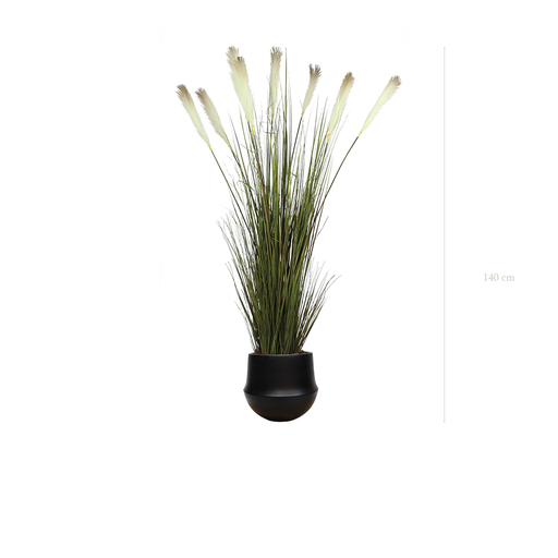 [A-TG1-CE9] The Pampa H. 130 cm in a black round ceramic pot #Artificial