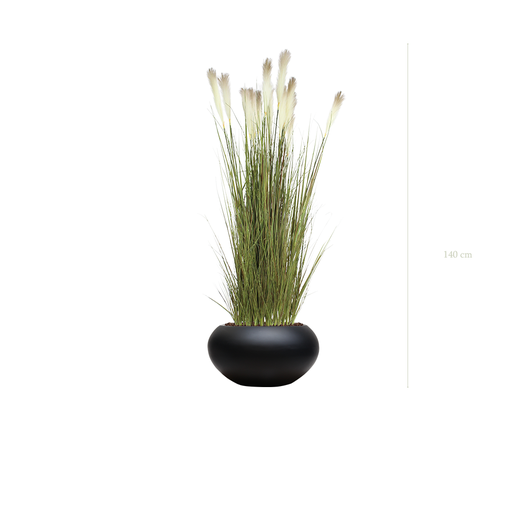 [A-TG1-FB13] The Pampa in a black oval pot #Artificial