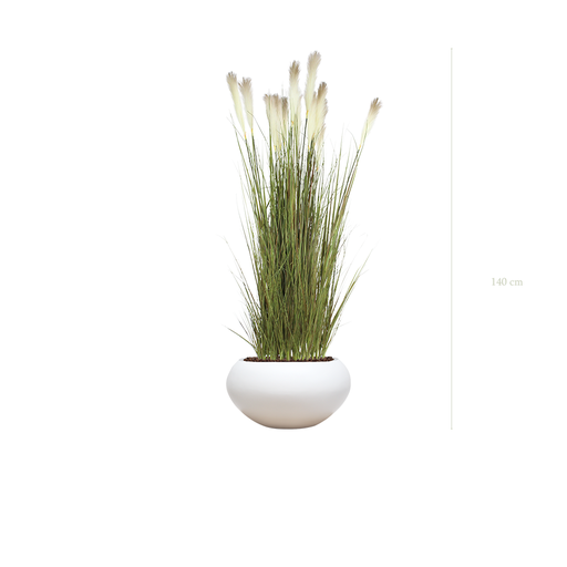 [A-TG1-FB14] The Pampa in a white oval pot #Artificial