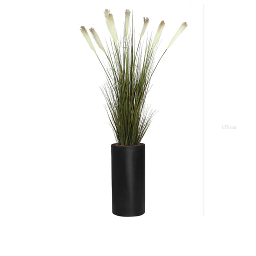 [A-TG1-FB17] The Pampas in a tall black cylinder pot #Artificial