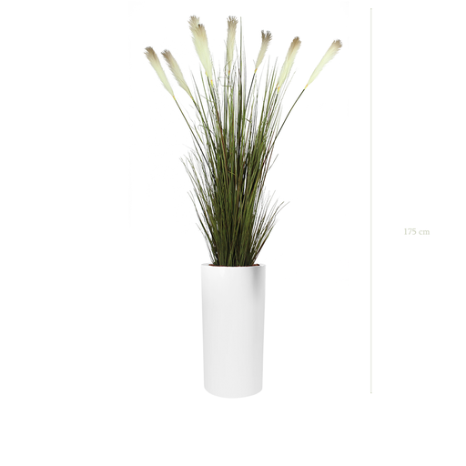 [A-TG1-FB18] The Pampas in a tall white cylinder pot #Artificial