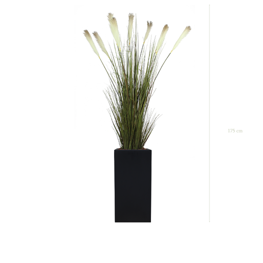 [A-TG1-FB19] The Pampas in a tall black cube pot #Artificial