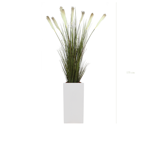 [A-TG1-FB20] The Pampas in a tall white cube pot #Artificial