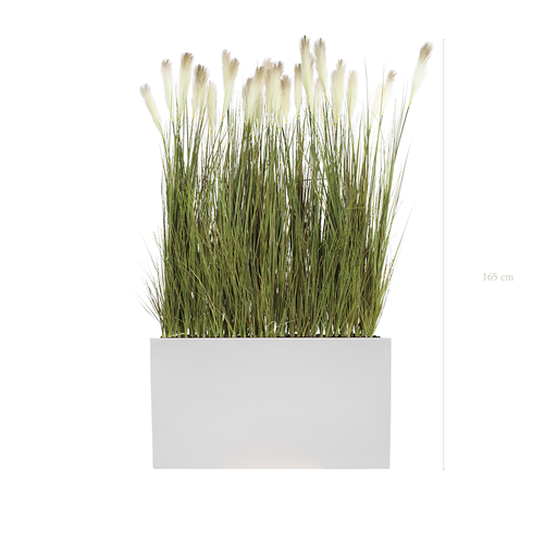 [A-TG1-FB6] The Pampas S. white Divider #Artificial