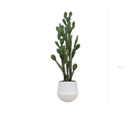 [A-PT11-CE2] Le Cactus - Pot Rond Blanc #Artificiel