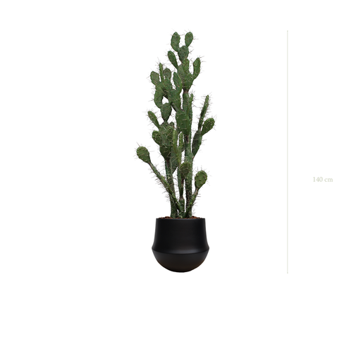 [A-PT11-CE10] The Cactus in a black oval pot #Artificial