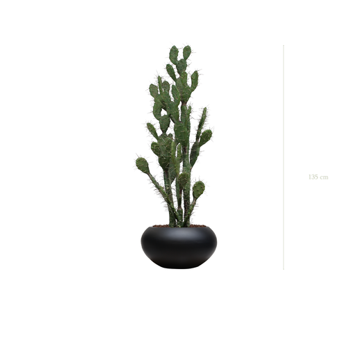 [A-PT11-FB13] The Cactus in a black oval pot #Artificial