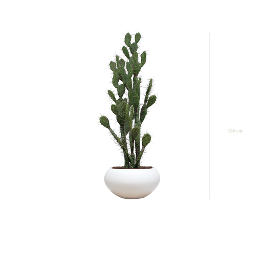 [A-PT11-FB14] The Cactus in a white oval pot #Artificial