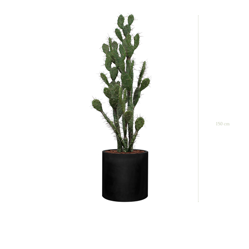 [A-PT11-FB23] The Cactus in a black cylinder pot #Artificial