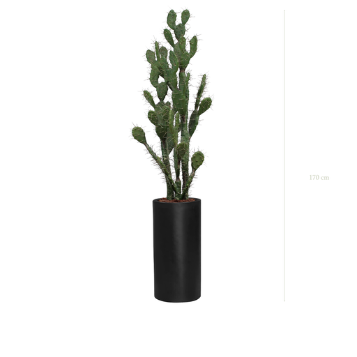 [A-PT11-FB17] The Cactus in a tall black cylinder pot #Artificial