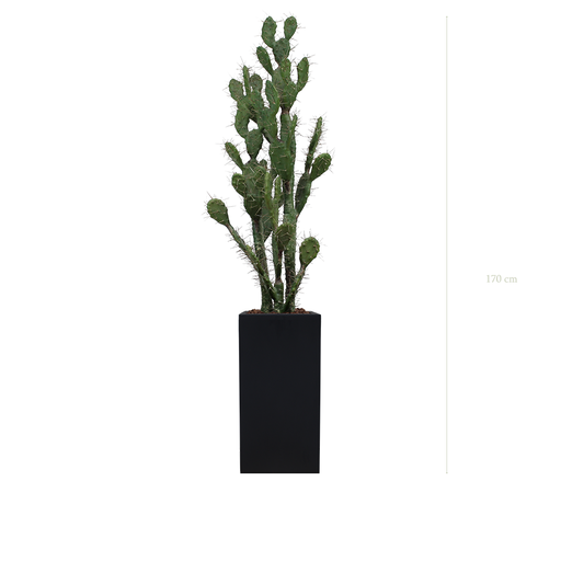 [A-PT11-FB19] Le Cactus - Cube Haut Noir #Artificiel