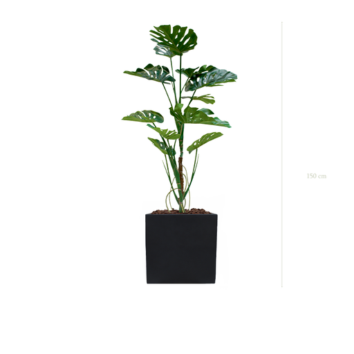 [A-PT17-FB9] The Monstera in a black cube pot #Artificial
