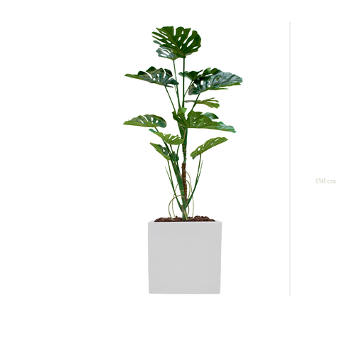 [A-PT17-FB10] die Monstera-Pflanze - weißer kubischer Topf #künstlich