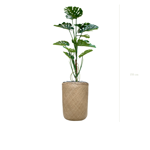 [A-PT17-TR3]  die Monstera-Pflanze - Naturgeflecht - Topf #künstlich