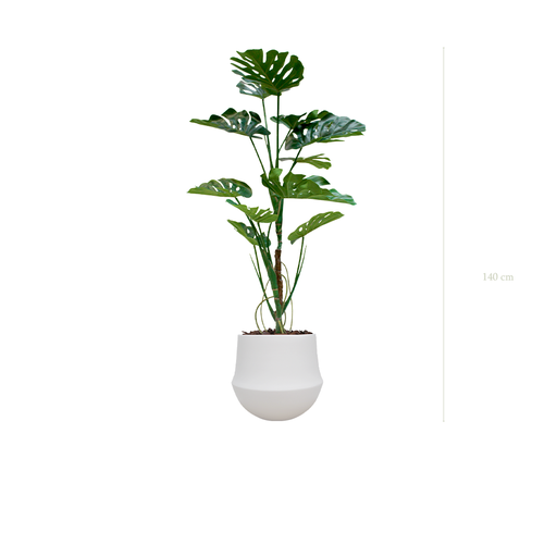 [A-PT17-CE2] die Monstera-Pflanze - Weißer runder Topf #künstlich