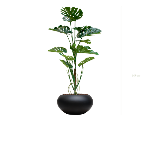 [A-PT17-FB13] die Monstera-Pflanze - schwarzer ovaler Topf #künstlich