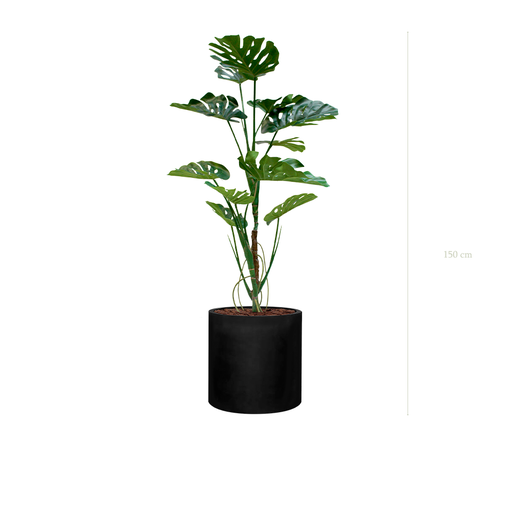 [A-PT17-FB23] die Monstera-Pflanze in schwarzer Zylinder Topf #künstlich