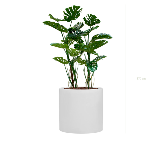 [A-PT17-FB26] Jardinière Grandes Monsteras - Cylindre Blanc #Artificiel