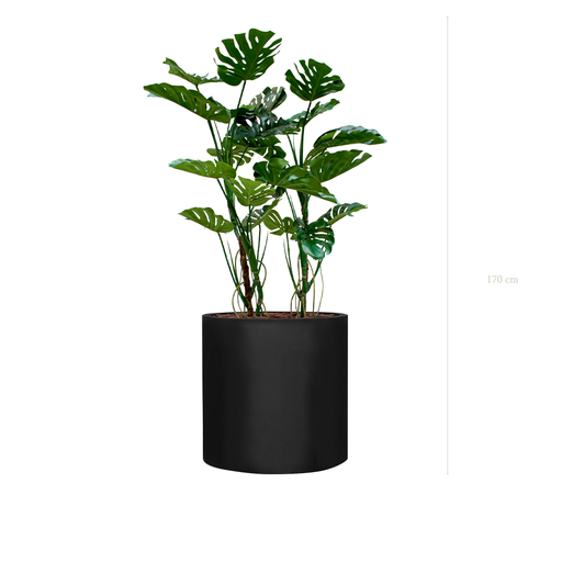 [A-PT17-FB27] Jardinière Grandes Monsteras - Cylindre Noir #Artificiel