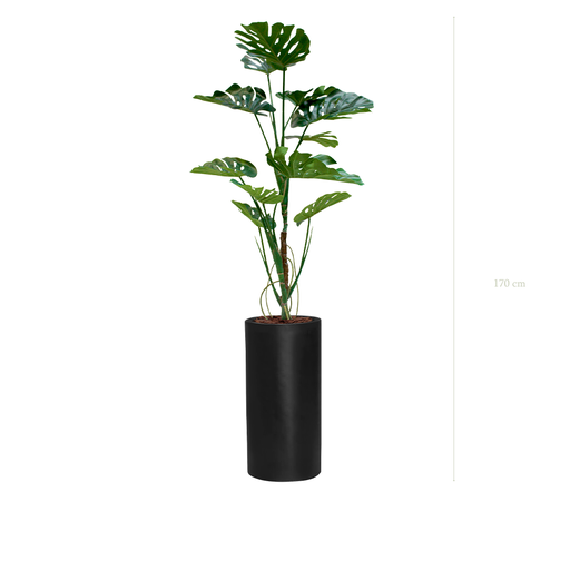 [A-PT17-FB17] La Monstera - Cylindre Haut Noir #Artificiel