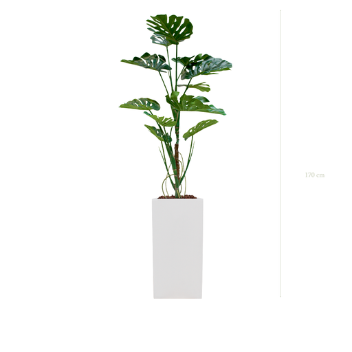 [A-PT17-FB20] La Monstera - Cube Haut Blanc #Artificiel