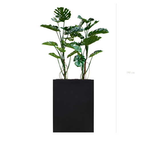 [A-PT17-FB2] The Monsteras M. black Divider #Artificial