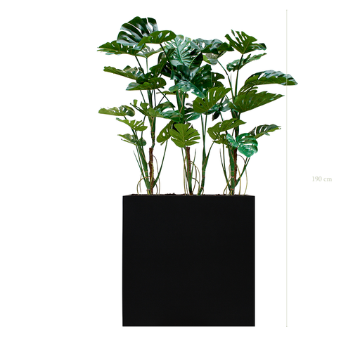 [A-PT17-FB4] The Monsteras L. Black Divider #Artificial