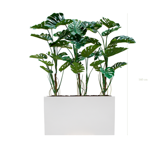 [A-PT17-FB6] The Monstera S. White Divider #Artificial