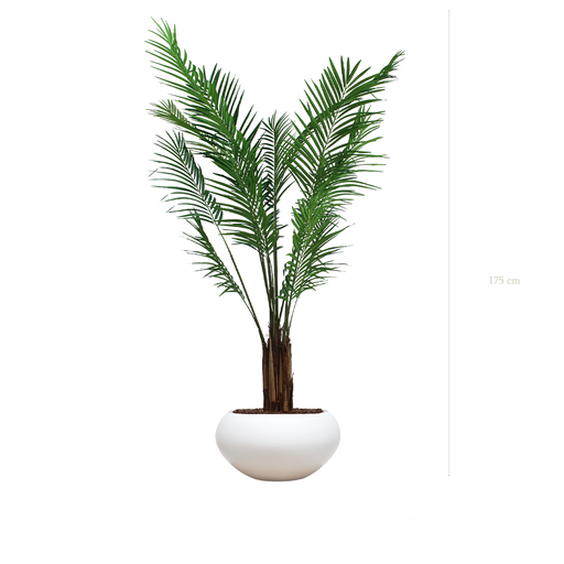 [A-PT2-FB14] L'Areca - Pot Ovale Blanc #Artificiel