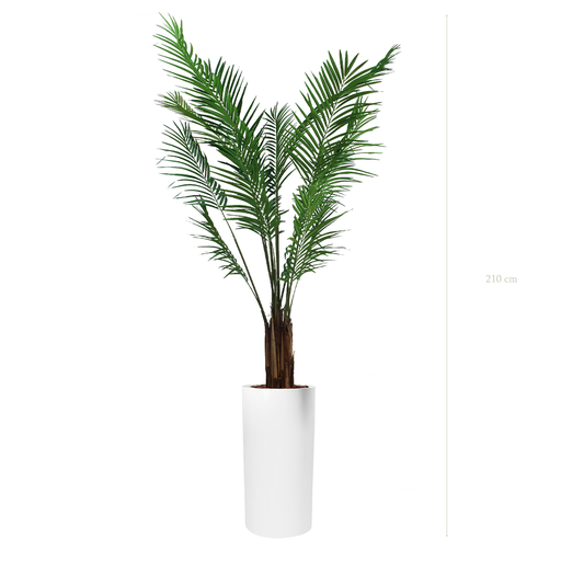 [A-PT2-FB18] The Areca in a tall white cylinder pot #Artificial