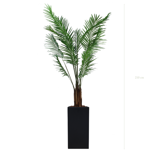 [A-PT2-FB19] The Areca in a tall black cube pot #Artificial